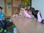 Jako v divadle...